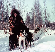 Kayy Gordon with a dog team in the Arctic